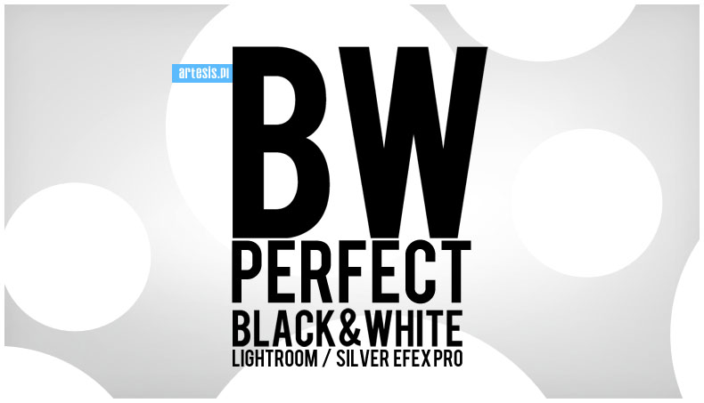 presety bw presets silver efex